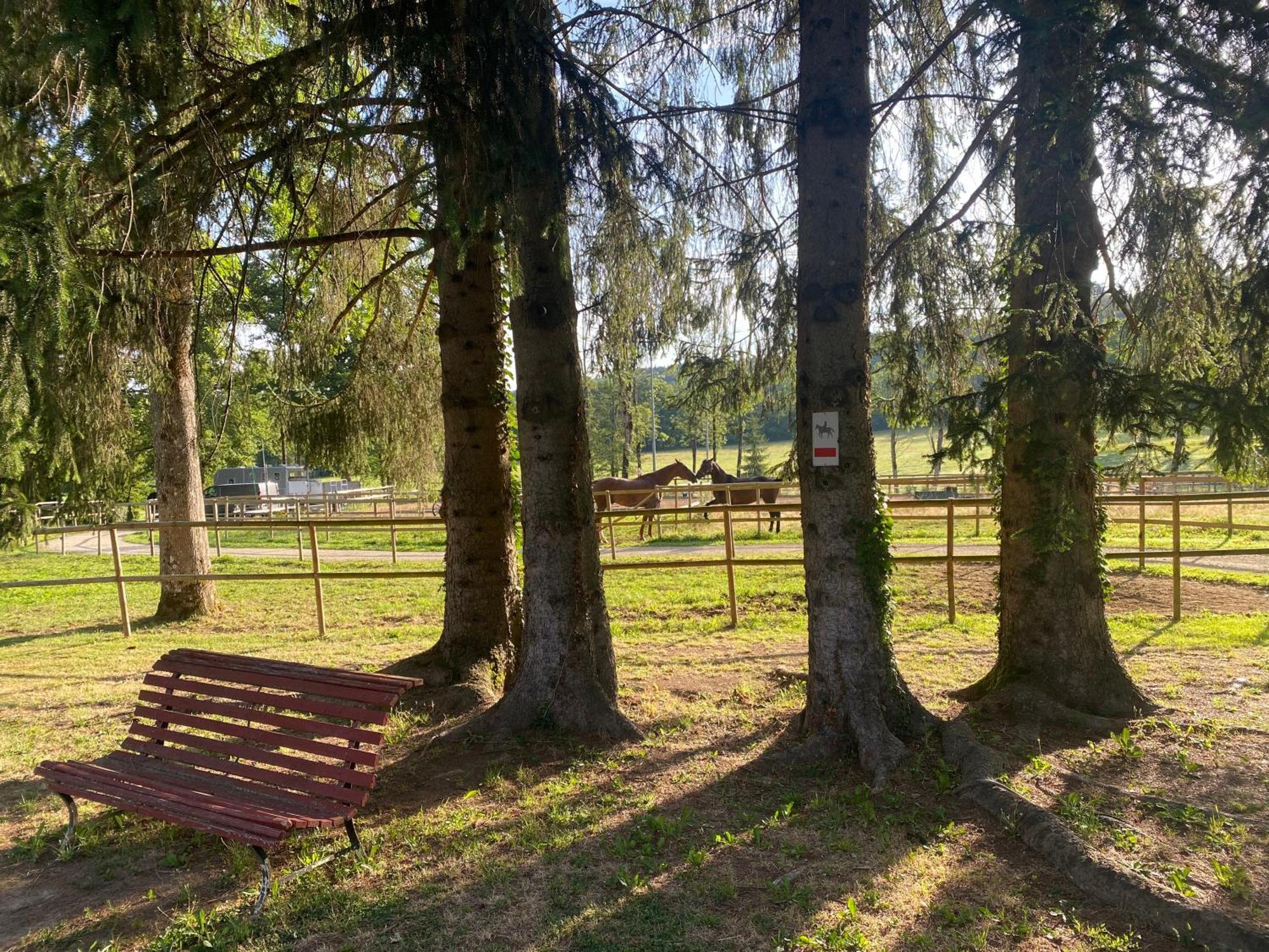 Bed & Breakfast L'orangerie De Malpas